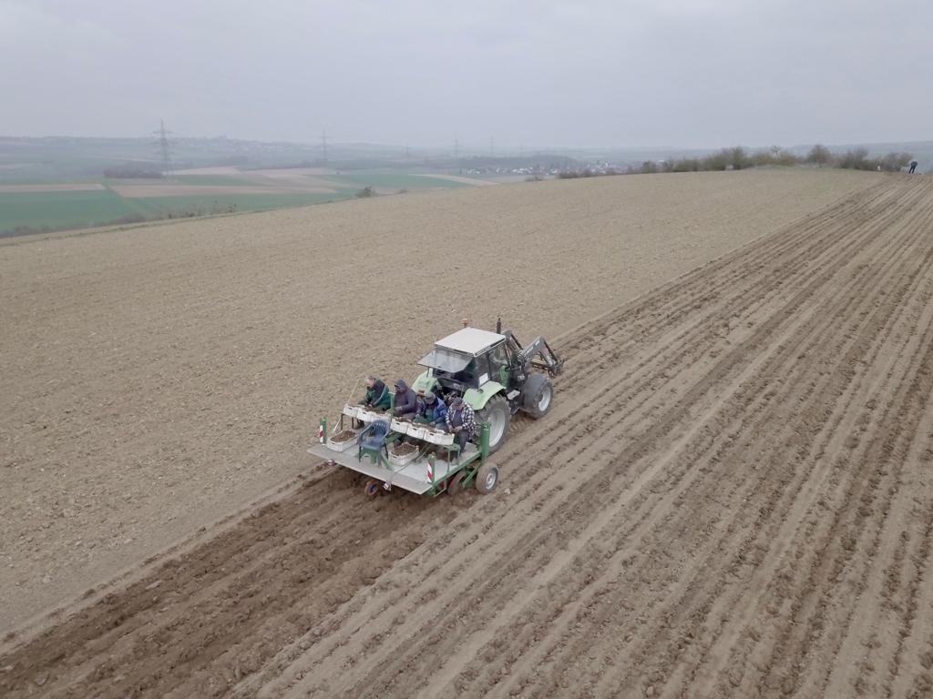 Traktor mit Pflanzmaschine beim Setzen der Miscanthus-Rhizome